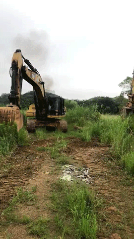 尹遙---造大美南湖，創(chuàng)“岳陽速度”